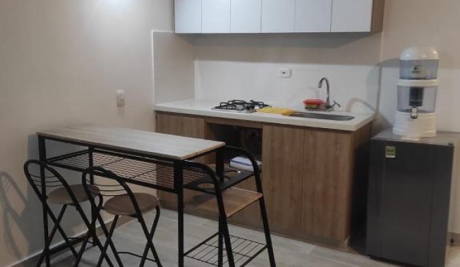 Apartaestudio tipo Loft