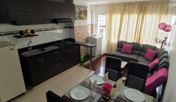 Apartamento amoblado a excelente precio