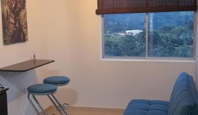 Comodo apartamento con hermosa vista.