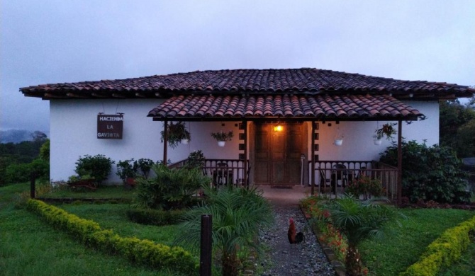 Hacienda Cafetera La Gaviota