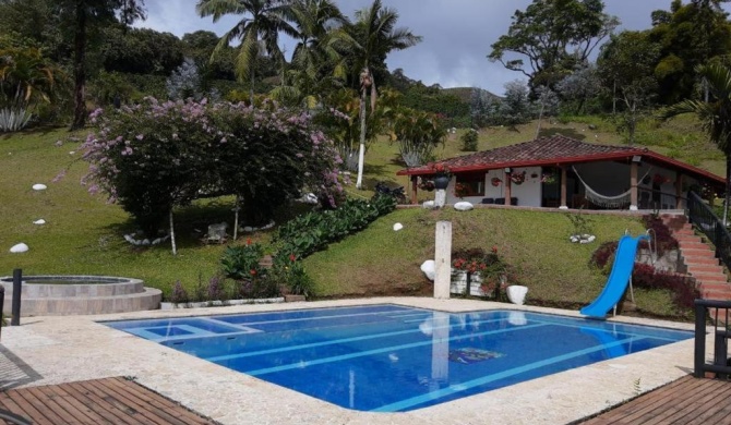 FINCA FREDONIA ANTIOQUIA