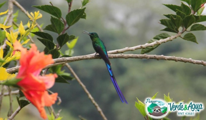 Parque Verde y Agua