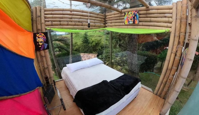 Biohotel Ecohouse