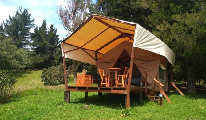 Glamping Verde 360