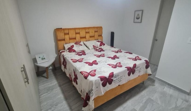 Apartamento Entero Ibague - Parqueadero - Nogal