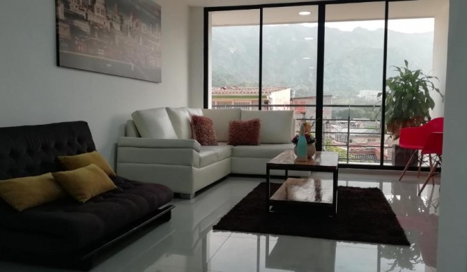 Apartamento Ibague Sector Piedra Pintada 301