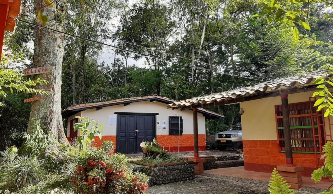 Compostela cabaña privada (private cabin for rent)