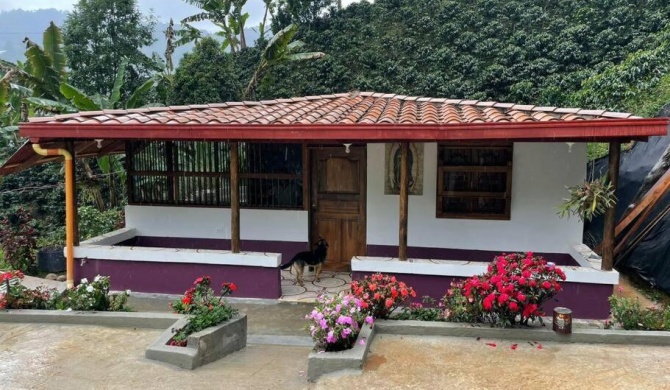 Finca de Café La Guadalupe, Casa de Campo Jardín