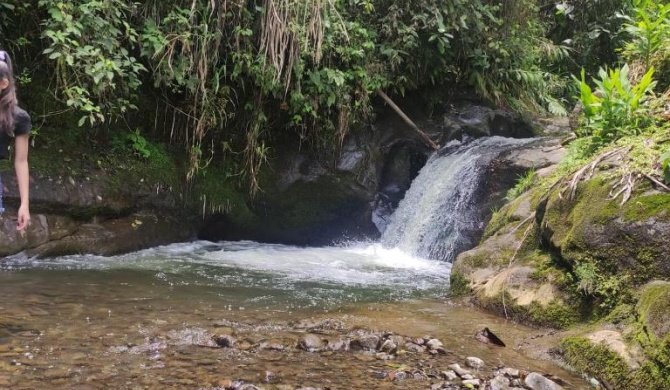 Finca cafetera el coral 2