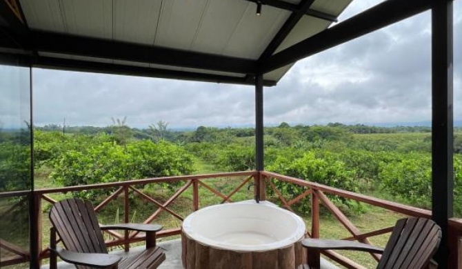 Cabaña de ensueño rodeada de naturaleza