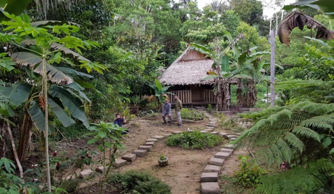 Omshanty Jungle Lodge